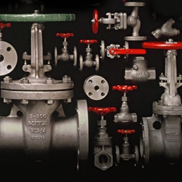 Gate, Globe, Check Valves and Strainer