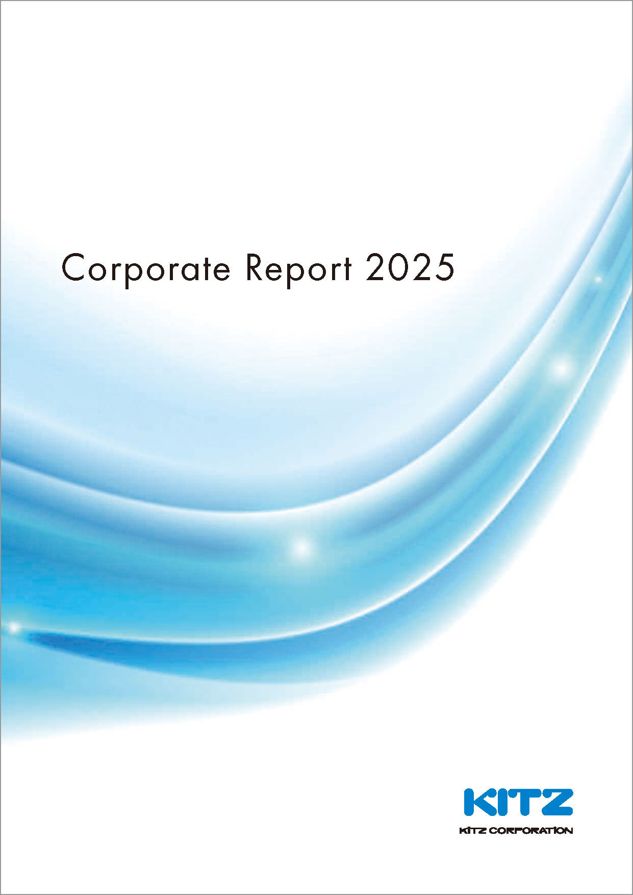 Corporate Report