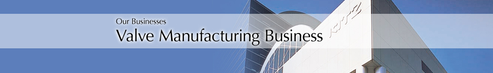 Valve Manufacturing Business